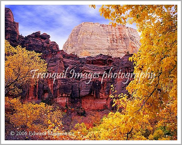 450434---The Great White Throne and golden foliage